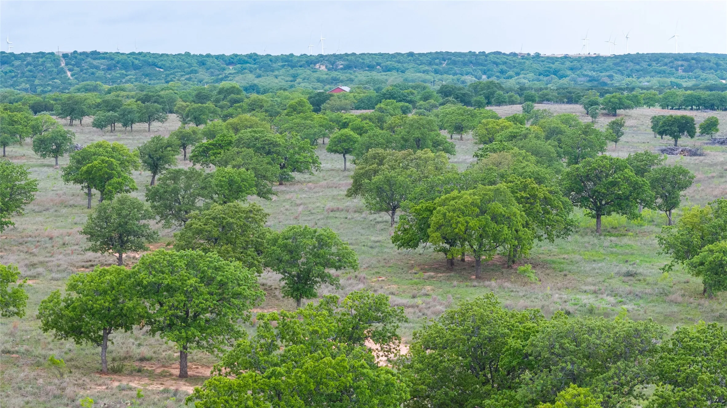 Ovalo, TX 79541