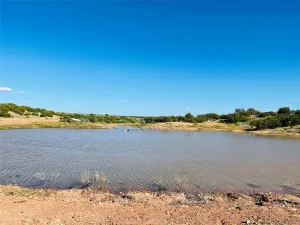 Bronte, TX 76933