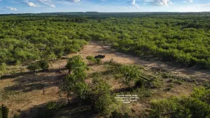 Caddo, TX 76429