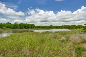 Savoy, TX 76479