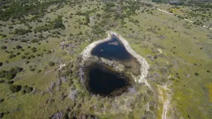 Carlton, TX 76436