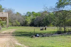 Rockdale, TX 76567