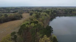 Pittsburg, TX 75686