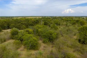 Wills Point, TX 75169