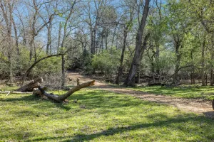 Rockdale, TX 76567
