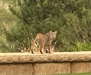 Durango, CO 81326