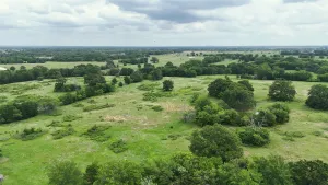 Mabank, TX 75147