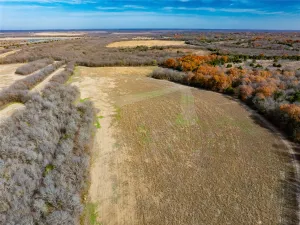 Bristol, TX 75119