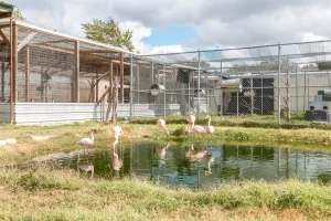 Franklin, TX 77856