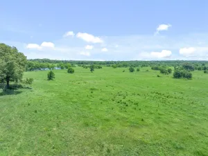 Edgewood, TX 75117