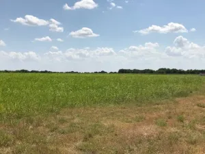 Hillsboro, TX 76645