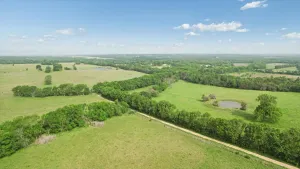 Honey Grove, TX 75446