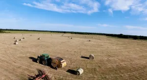 Lake Creek, TX 75450