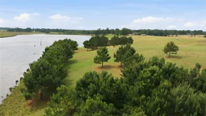 Larue, TX 75770