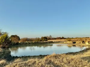 Hico, TX 76457