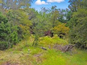 Jonesboro, TX 76538