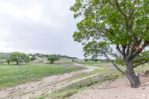Ovalo, TX 79541