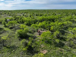 Voss, TX 76888