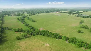 Honey Grove, TX 75446