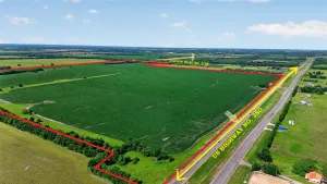 Greenville, TX 75401