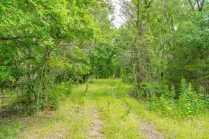 Carlton, TX 76436