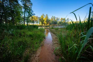 Kilgore, TX 75662