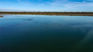 Clarksville, TX 75426