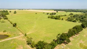 Pilot Point, TX 76258