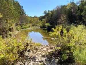 Carlton, TX 76436