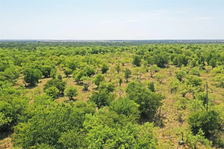 Perrin, TX 76486