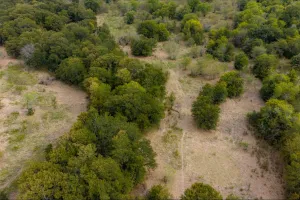 Wills Point, TX 75169