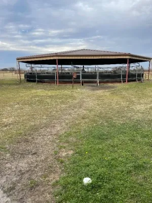 Pilot Point, TX 76258
