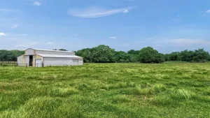 Pilot Point, TX 76258