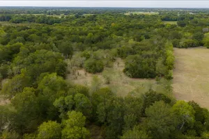 Wills Point, TX 75169