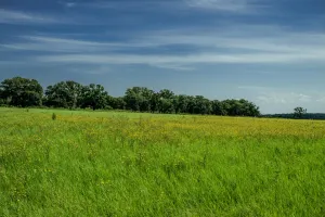 Henrietta, TX 76230