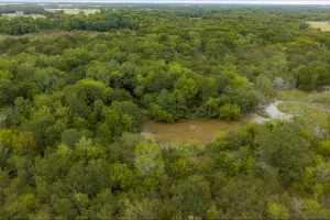 Wills Point, TX 75169