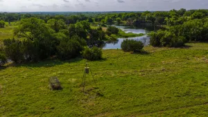 Hamilton, TX 76531