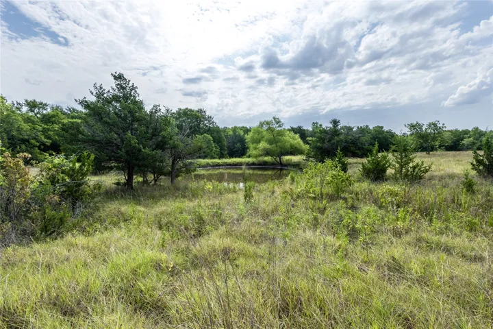 Windom, TX 75492