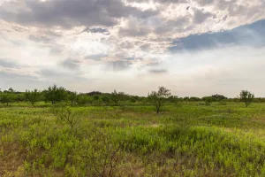 Mullin, TX 76864
