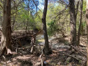 Cedar Hill, TX 75104