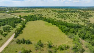 Carlton, TX 76436