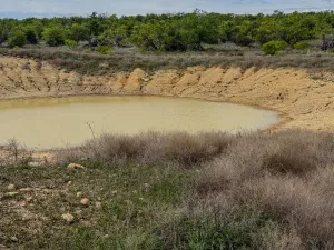 Voss, TX 76888