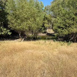 Farmersville, TX 75442