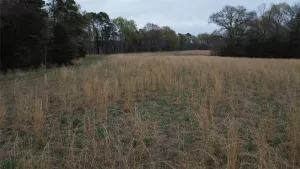 Pittsburg, TX 75686