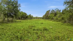 Hallettsville, TX 77964
