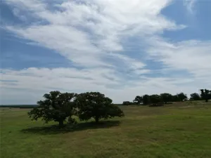 Nocona, TX 76255