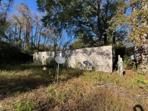 Jasper, TX 75951