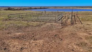 Wichita Falls, TX 76305