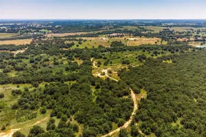 Poolville, TX 76487