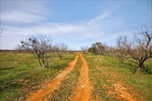 Graford, TX 76449